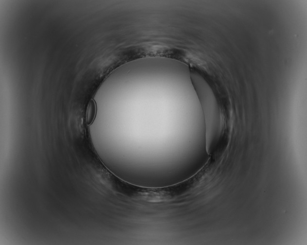 X0000086740615200704131130