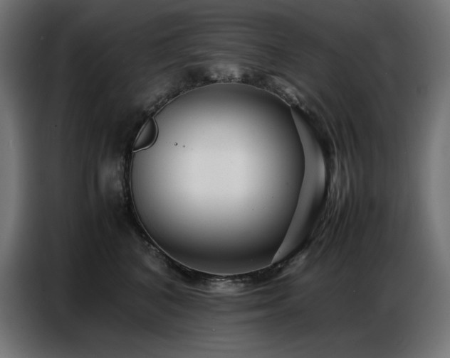 X0000086740616200704131130