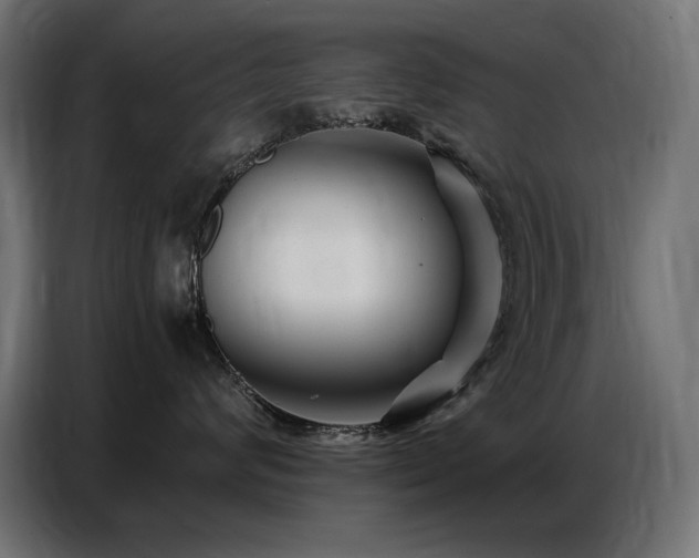 X0000086740624200704131130