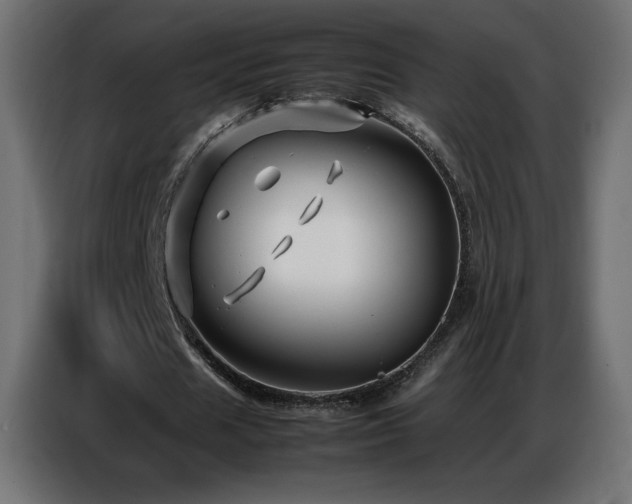X0000086740625200704131129