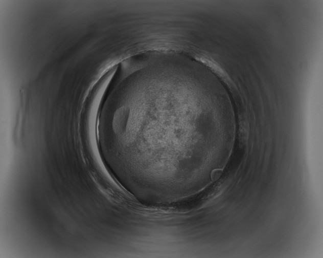 X0000086740626200704131129