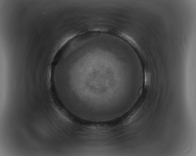 X0000086740627200704131129