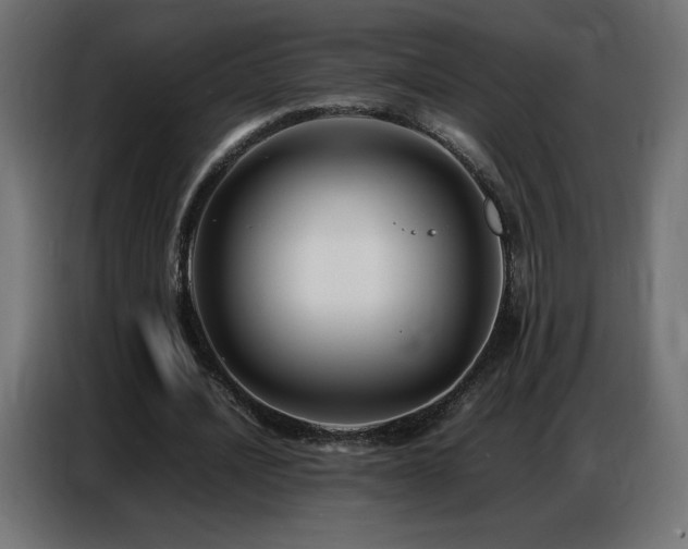 X0000086740628200704131129