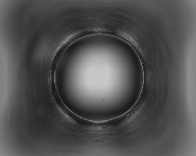 X0000086740629200704131129