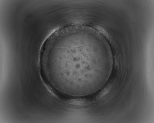 X0000086740630200704131129