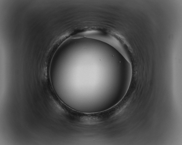 X0000086740633200704131129