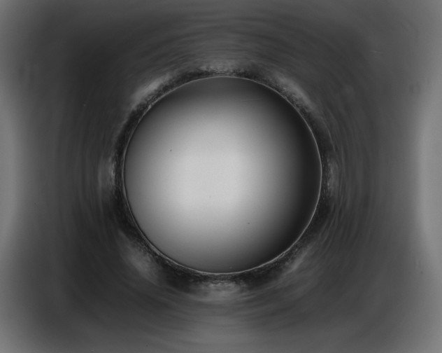 X0000086740636200704131129