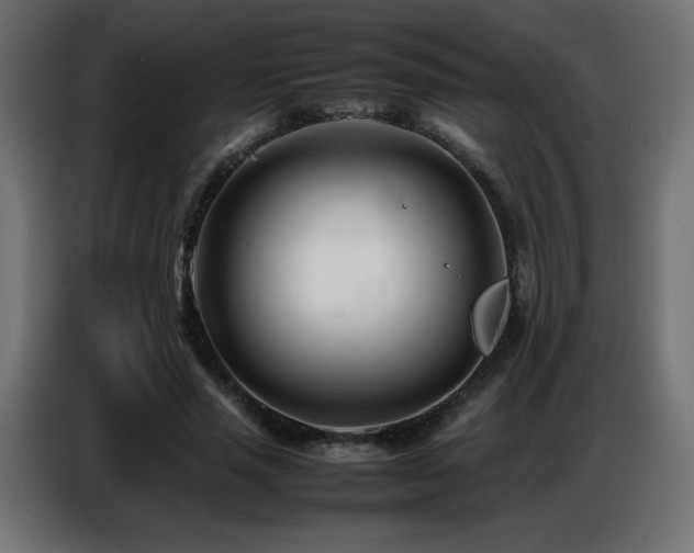 X0000086740637200704131129
