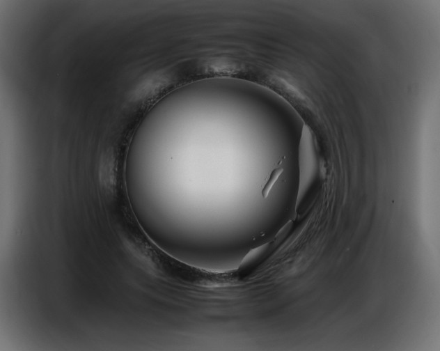 X0000086740639200704131129