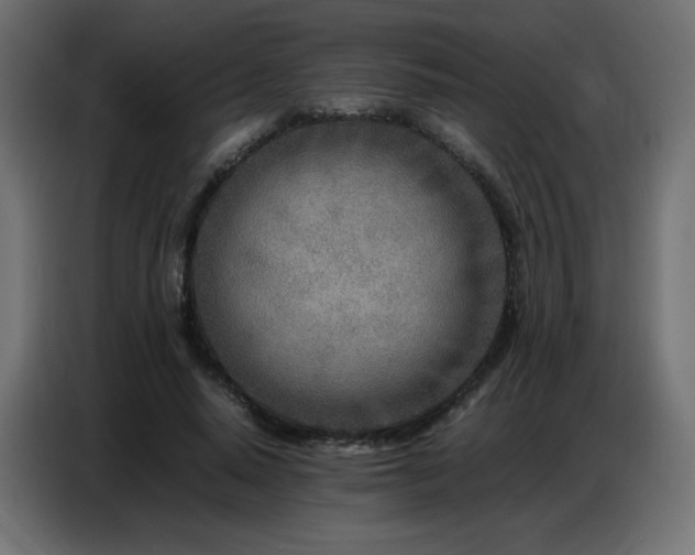 X0000086740640200704131129