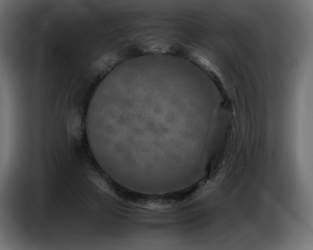 X0000086740641200704131129