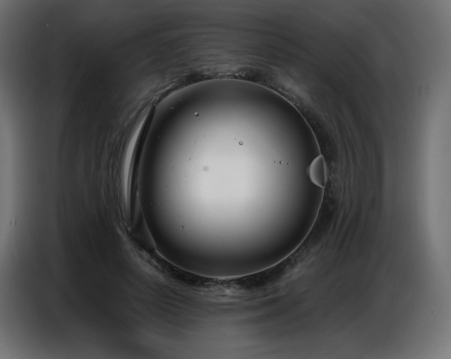 X0000086740642200704131129