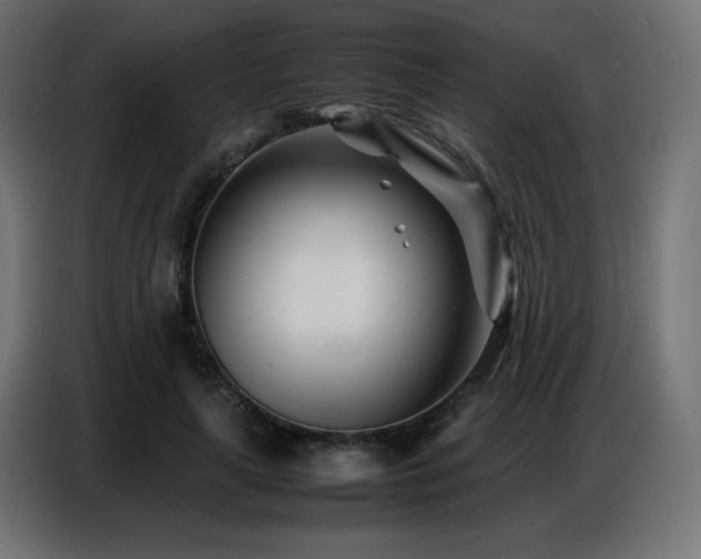 X0000086740643200704131129
