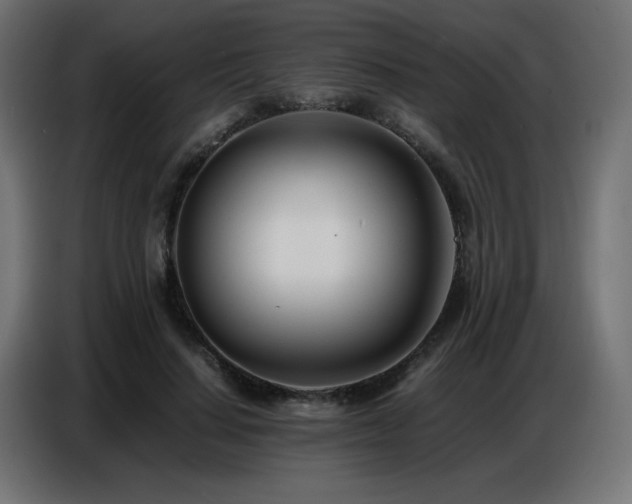 X0000086740644200704131129