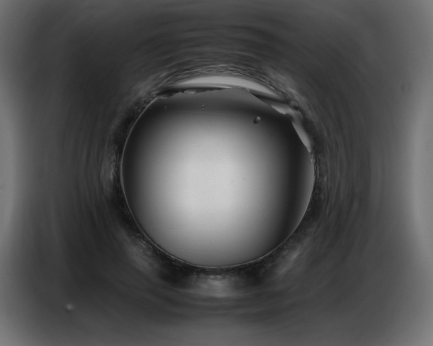X0000086740645200704131129