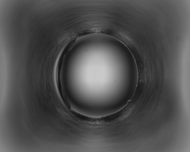 X0000086740646200704131129