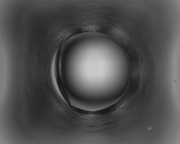 X0000086740647200704131129