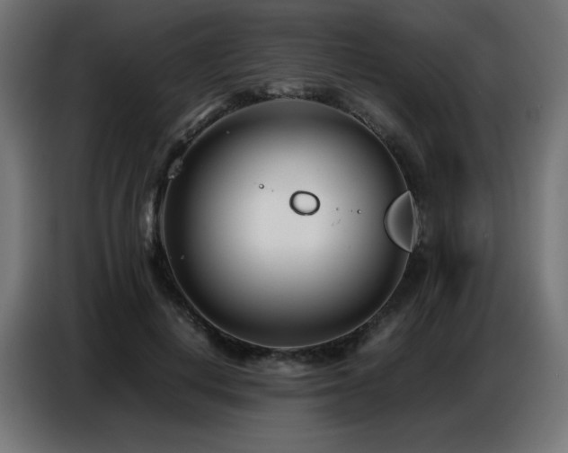 X0000086740648200704131129