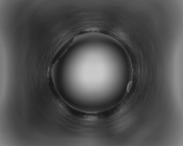 X0000086740649200704131129