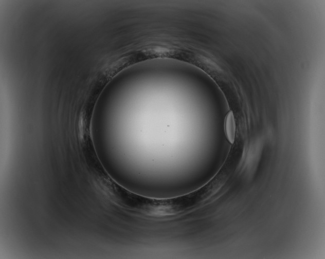 X0000086740651200704131130