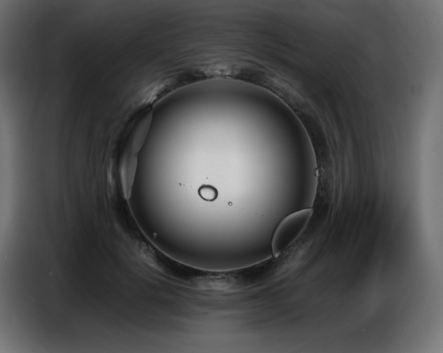 X0000086740652200704131130