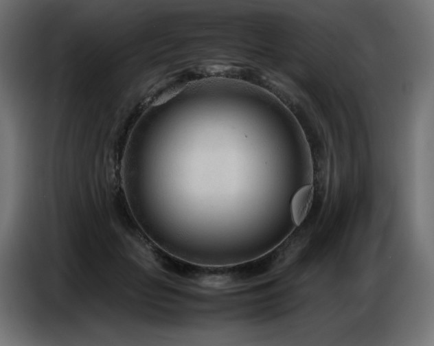 X0000086740653200704131130