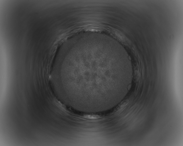 X0000086740654200704131130
