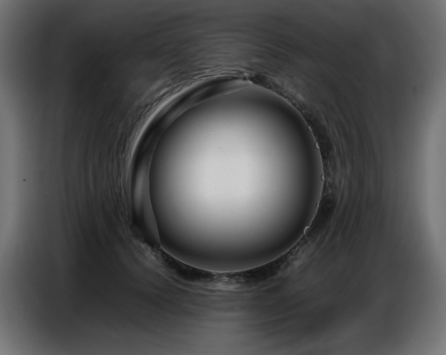 X0000086740656200704131130