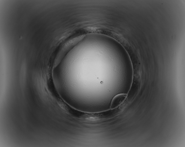 X0000086740658200704131130