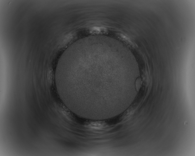 X0000086740659200704131130