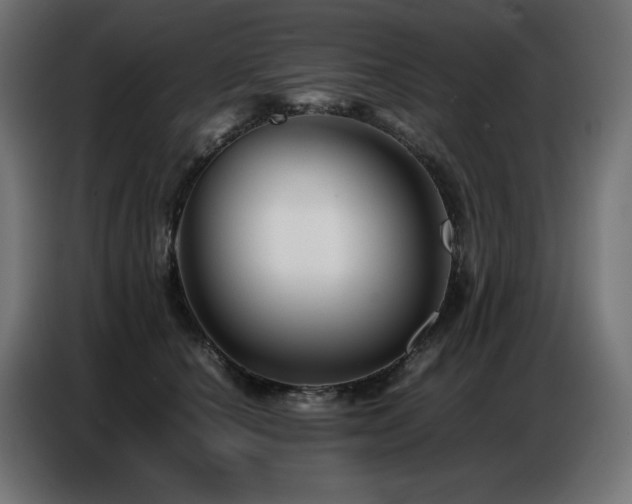 X0000086740660200704131130