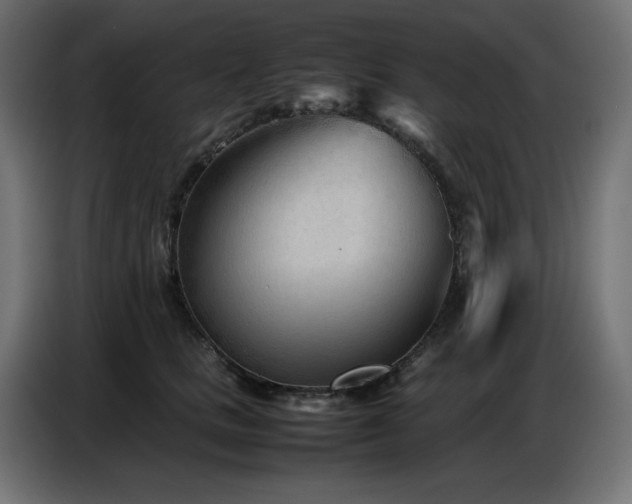 X0000086740661200704131130
