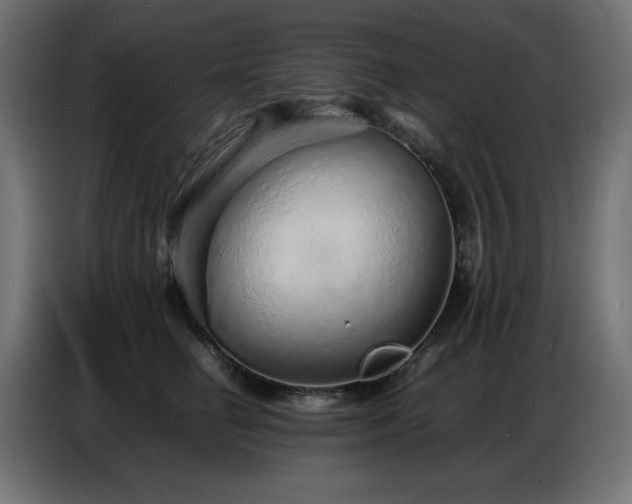 X0000086740662200704131130