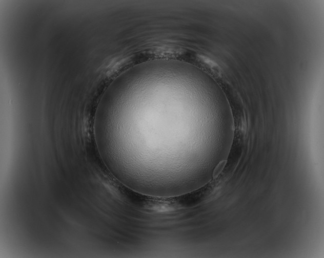 X0000086740663200704131130