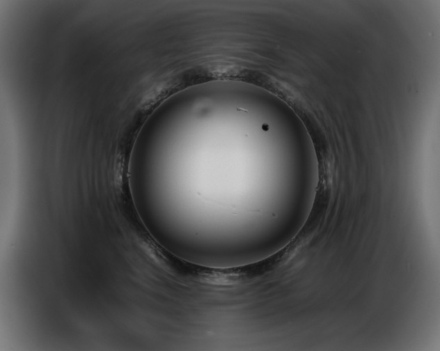 X0000086740664200704131130