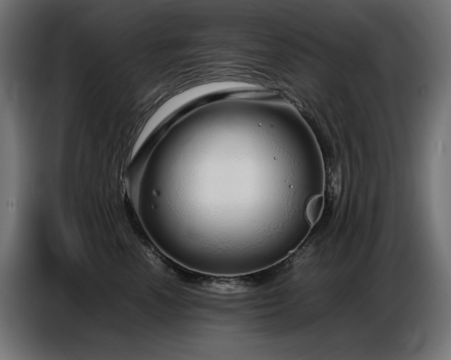 X0000086740666200704131130