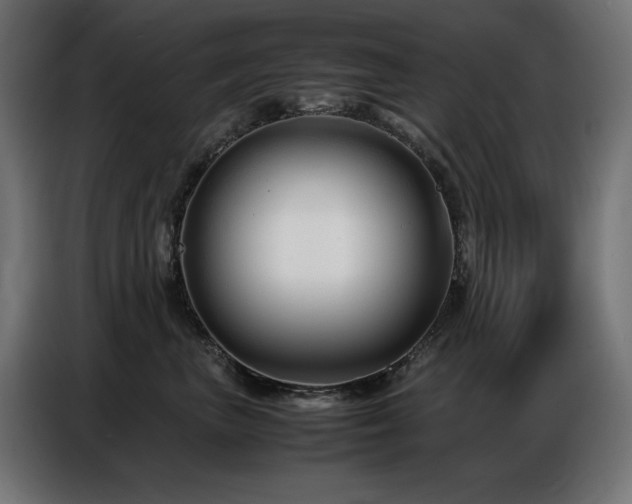 X0000086740667200704131130