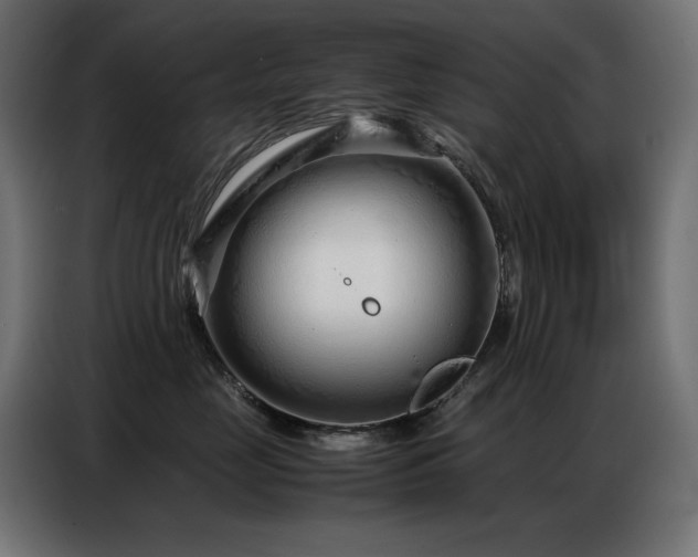 X0000086740669200704131130