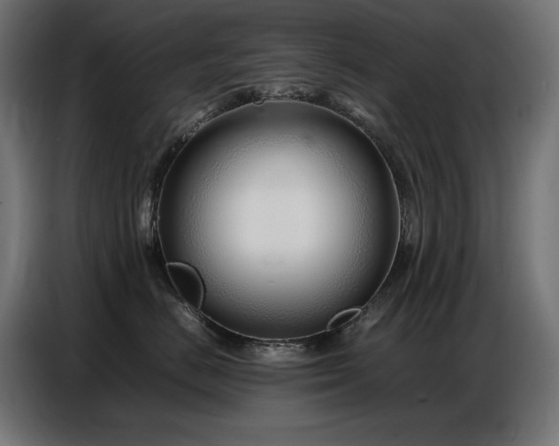 X0000086740670200704131130