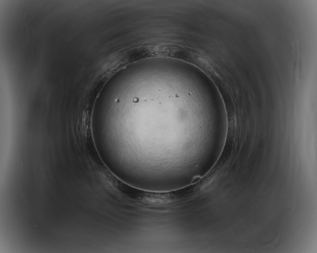 X0000086740671200704131130