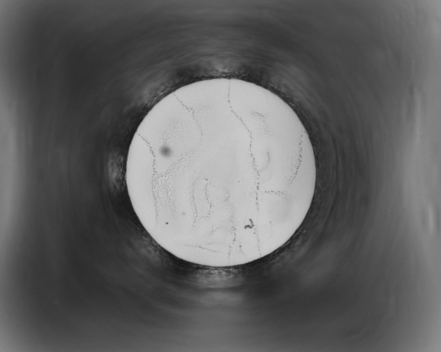 X0000086740672200704131130