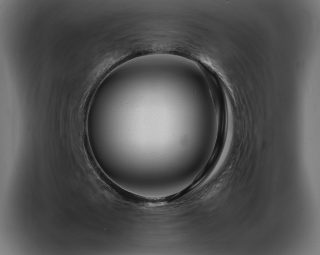 X0000086740673200704131129