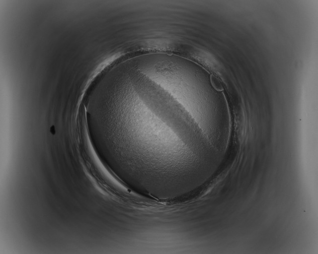 X0000086740674200704131129