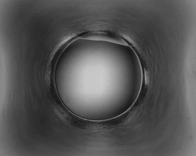 X0000086740675200704131129