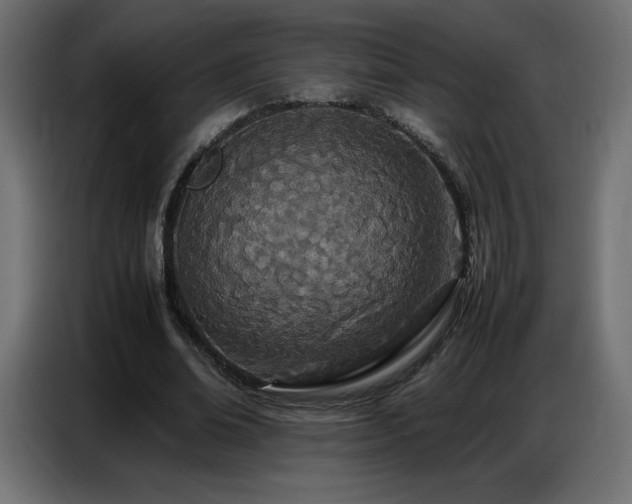 X0000086740678200704131129