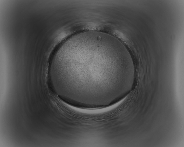 X0000086740679200704131129