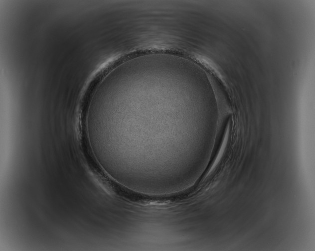 X0000086740680200704131129