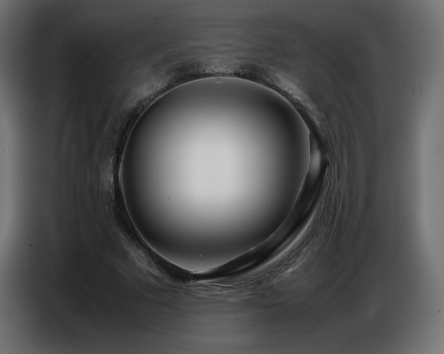 X0000086740681200704131129