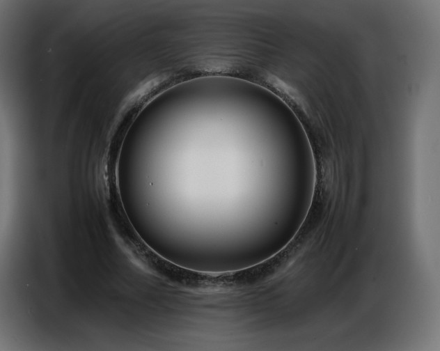 X0000086740682200704131129