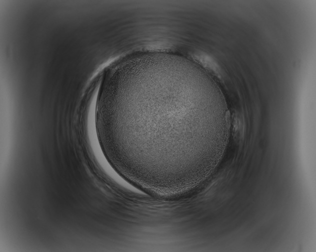 X0000086740684200704131129